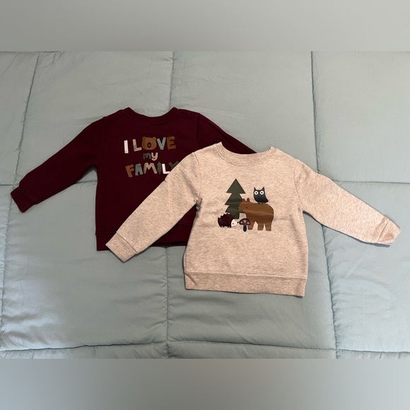 Garanimals Other - Bundle of two Garanimals Sweater